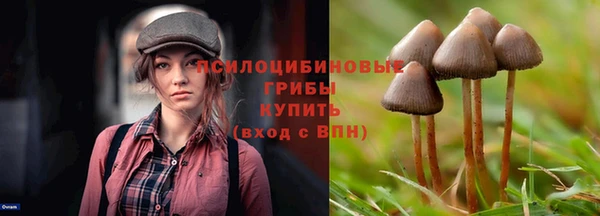 Альфа ПВП Баксан