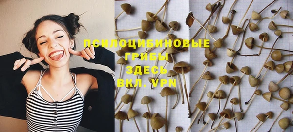 гидропоника Балахна