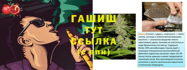 спайс Арсеньев