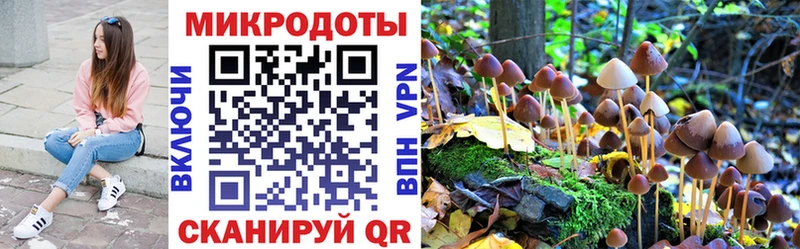 Псилоцибиновые грибы Psilocybine cubensis Озёры